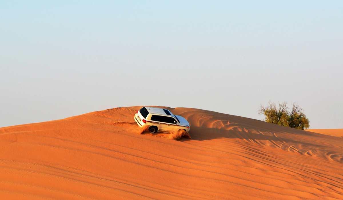 Desert Safari